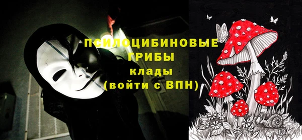 ПСИЛОЦИБИНОВЫЕ ГРИБЫ Абаза