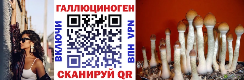 Галлюциногенные грибы MAGIC MUSHROOMS  закладки  МЕГА как зайти  Новотроицк 